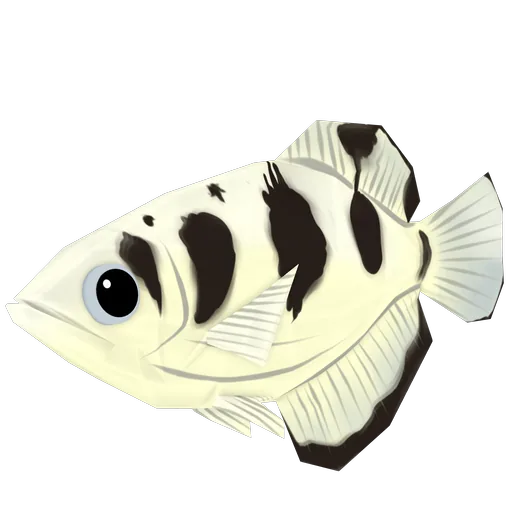 Archerfish