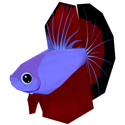 Bettafish
