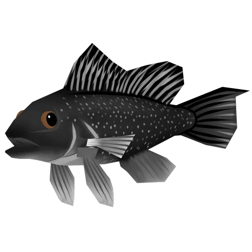 Seabass